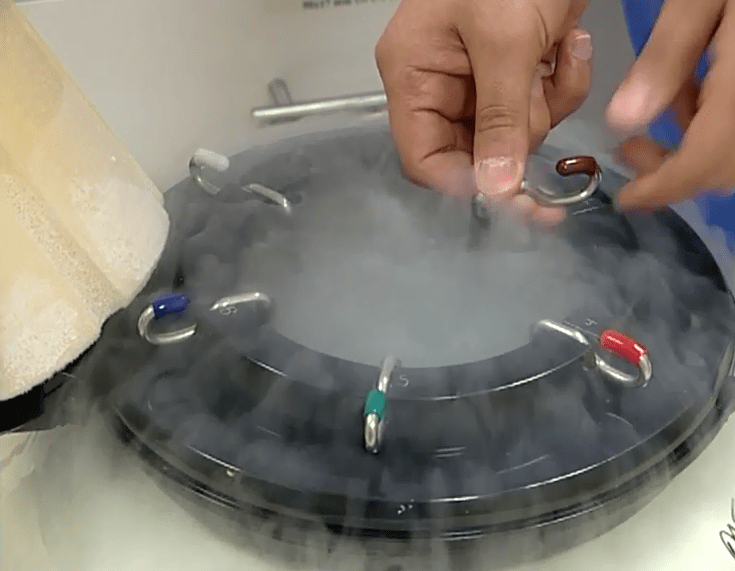 Yumurta ve Embriyo Dondurma